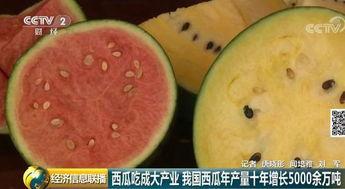 中国吃瓜群众论文,中国网络舆论场中的现象与影响