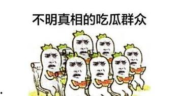 暴躁吃瓜群众怎么处理好,如何巧妙应对网络舆论风暴