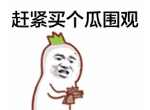 反转吃瓜群众怎么办啊视频,揭秘网络舆论背后的真相