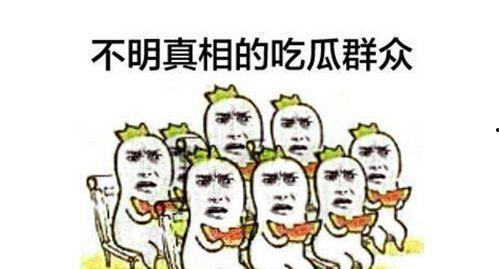 当当吃瓜群众吧百度贴吧,揭秘网络热议背后的真实故事