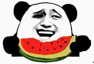 盘龙区吃瓜群众是谁啊,揭秘网络热词背后的真实故事