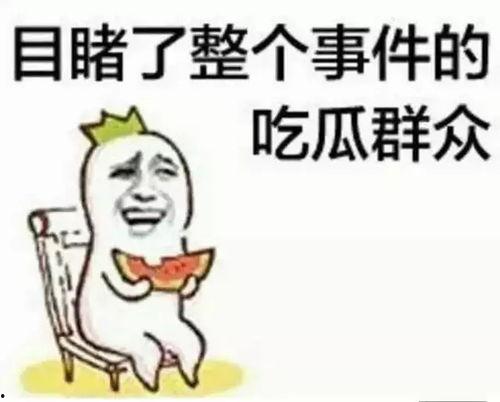 提瓦特吃瓜群众是谁,探寻“吃瓜群众”背后的神秘力量