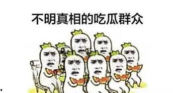 吃瓜群众聊八卦2.0,八卦2.0版揭秘娱乐圈最新动态